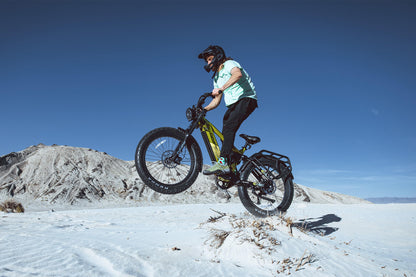 Elektrofahrrad Ranger 2.0