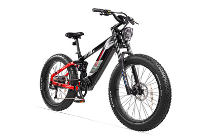 Elektrofahrrad Ranger 2.0