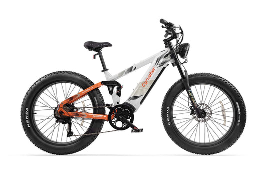 Elektrofahrrad Ranger 2.0