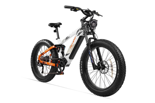 Elektrofahrrad Ranger 2.0